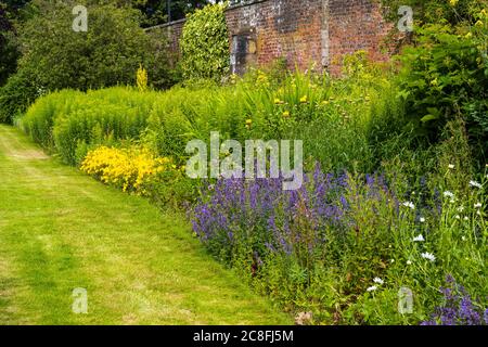 Confine erbaceo nel giardino murato a Falkland Palace nel villaggio di Falkland a Fife, Scozia, Regno Unito Foto Stock