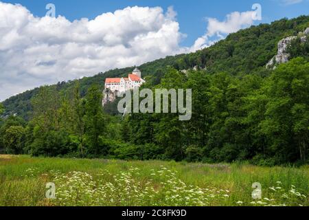 RIEDENBURG, GERMANIA - 3 LUGLIO: Castello di Prunn nella valle Altmuehltal a Riedenburg, Germania il 3 luglio 2020. Foto Stock