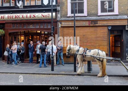 Cavalli e trappola fuori, Pillars of Hercules Pub, 7 Greek Street, Soho, Londra, Regno Unito. 9 Apr 2017 Foto Stock