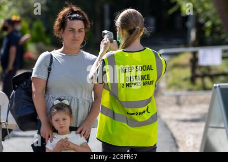 Brentwood, Essex, Regno Unito. 24 luglio 2020. Hopefield Animal Sanctuary, i cui ambasciatori sono Leona Lewis, Simon Cowell e James Arthur, riapre al pubblico per la prima volta dopo il blocco di Coronavirus/COVID-19. Il santuario ha diverse nuove misure 'COVID-Secure' in atto, tra cui controlli di temperatura obbligatori, stazioni di sanificazione manuale e sistemi a una via. Credit: Ricci Fothergill/Alamy Live News Foto Stock