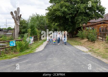 Brentwood, Essex, Regno Unito. 24 luglio 2020. Hopefield Animal Sanctuary, i cui ambasciatori sono Leona Lewis, Simon Cowell e James Arthur, riapre al pubblico per la prima volta dopo il blocco di Coronavirus/COVID-19. Il santuario ha diverse nuove misure 'COVID-Secure' in atto, tra cui controlli di temperatura obbligatori, stazioni di sanificazione manuale e sistemi a una via. Credit: Ricci Fothergill/Alamy Live News Foto Stock