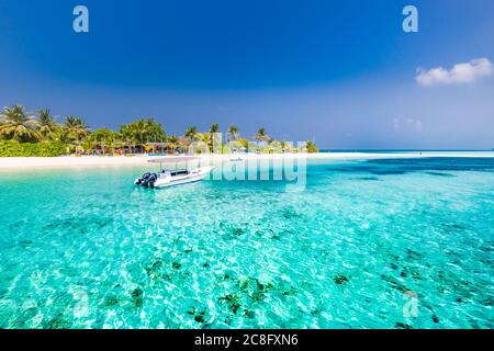 Incredibile paesaggio aereo nelle isole Maldive. Perfetta vista sulla barriera corallina del mare blu con crociera in barca, snorkeling, immersioni con vista dal drone. Paesaggi esotici Foto Stock