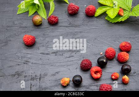 Bacche fresche e foglie di menta maturi giacciono su uno sfondo di ardesia nera. Foto Stock