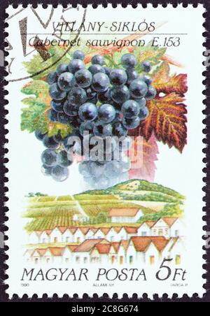UNGHERIA - CIRCA 1990: Un francobollo stampato in Ungheria dal numero 'Wine Grapes and Regions (1a serie)' mostra Cabernet Sauvignon, Villany, circa 1990. Foto Stock