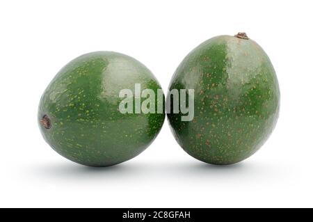 Avocado frutti isolati su sfondo bianco, percorso di ritaglio incluso. Foto Stock