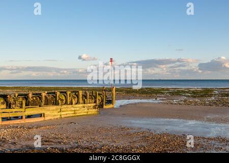 Un groyne di legno a bassa marea, sulla spiaggia di Worthing in Sussex Foto Stock