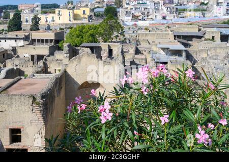 Guardando verso il basso i resti della città romana di Ercolano che fu devastata dall'eruzione del Vesuvio nel D79. Foto Stock