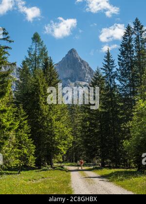 Escursionisti su un sentiero di fronte a Admonter Kalbling, Gesaeuse, Stiria, Austria Foto Stock