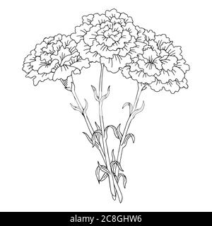 Grafica fiore garofano nero bianco isolato bouquet disegno vettore Illustrazione Vettoriale