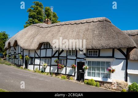 Graziosi cottage con tetto di paglia nel villaggio Hampshire di Wherwell, Inghilterra, Regno Unito, durante l'estate Foto Stock