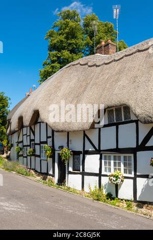 Graziosi cottage con tetto di paglia nel villaggio Hampshire di Wherwell, Inghilterra, Regno Unito, durante l'estate Foto Stock