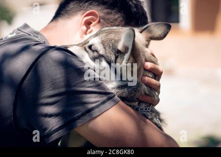 Persona che gioca con un Husky, abbracciando e struggendo Foto Stock