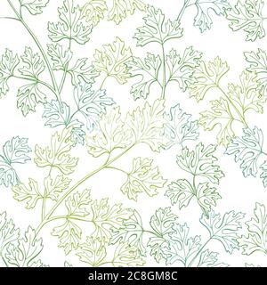 Prezzemolo pianta erba grafica colore verde schizzo senza cuciture motivo sfondo illustrazione vettore Illustrazione Vettoriale