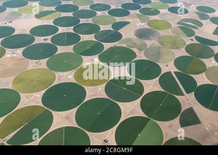 Vista aerea dei campi irrigati circolari in Colorado, Stati Uniti Foto Stock