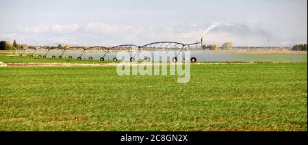 Un irrigatore a perno per centri agricoli utilizzato per irrigare un campo di erba medica nei fertili campi agricoli dell'Idaho. Foto Stock