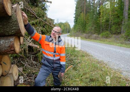 Ritratto di uomo maturo bello controllare legno tritato con foro al centro mentre tiene l'ascia Foto Stock