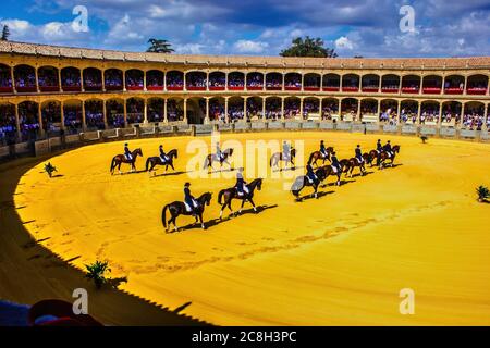 Ronda, Spagna - 06 settembre 2015: Spettacolo di cavalli durante la stagione di Feria in Andalusia per celebrare lo spettacolare Pedro Romero Festival, una celebrazione che culmi Foto Stock
