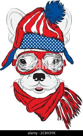 Husky in un cappello, sciarpa e occhiali di stile. Un cane pedigree in abiti e accessori. Moda e stile. Illustrazione vettoriale. Illustrazione Vettoriale