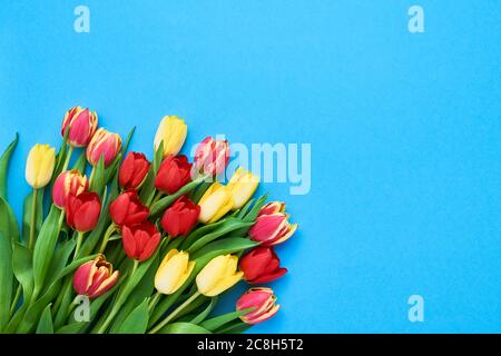 Bouquet di tulipani rossi e gialli su sfondo blu. Festa della mamma, giorno di San Valentino, concetto di celebrazione del compleanno. Spazio di copia, vista dall'alto. Biglietto d'auguri Foto Stock