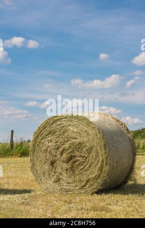 Immagine panoramica di rotoli di fieno su un prato contro il cielo blu, agricoltura, Germania Foto Stock