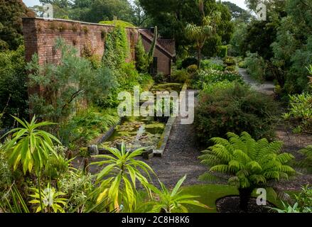 Logan Gardens, vicino a Stranraer, Dumfries e Galloway, Scozia . Foto Stock