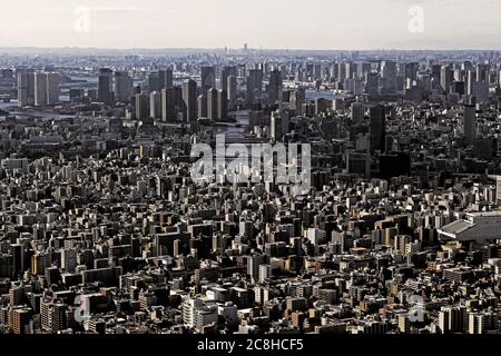 Scenario dell'area della Baia di Tokyo visto dall'osservatorio dello Sky Tree di Tokyo Foto Stock