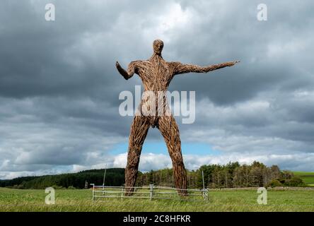 Una scultura uomo in vimini si trova in un campo rurale vicino a Dudrennan, Dumfries e Galloway, Scozia Foto Stock