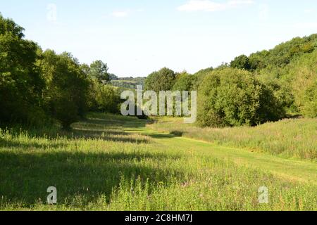 Valle tra Andrews Wood, Meenfield Wood e Pilots Wood vicino Shoreham, Kent, nel North Downs. Valle secca tipica delle colline di gesso. Estate Foto Stock