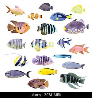 Grande insieme di pesci corallini tropicali colorati, isolati su bianco. Illustrazione vettoriale. Illustrazione Vettoriale
