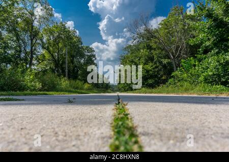 Lunghe strade di cemento della Route 66 ora molto inutilizzate scompaiono dritto in distanza con erba in crepe e lati fiancheggiati da cespugli e alberi invadenti, io Foto Stock