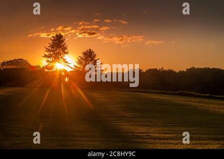 Sunburst sopra i boschi Foto Stock