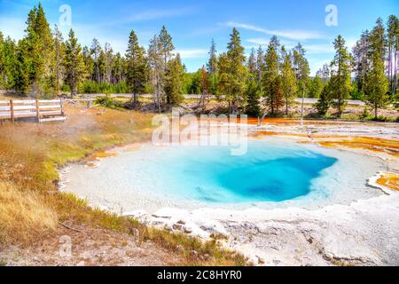 Silex Spring, una piscina termale calda nel bacino inferiore del Geyser di Fountain Paint Pot nel Parco Nazionale di Yellowstone, Wyoming, Stati Uniti. Foto Stock
