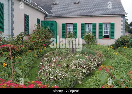 Longwood House, con pointsettias (ultima residenza di Napoleone), Sant'Elena, Oceano Atlantico 20 aprile 2018 Foto Stock