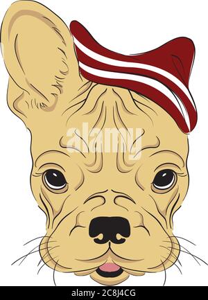 Husky in un cappello, sciarpa e occhiali di stile. Un cane pedigree in abiti e accessori. Moda e stile. Illustrazione vettoriale. Illustrazione Vettoriale