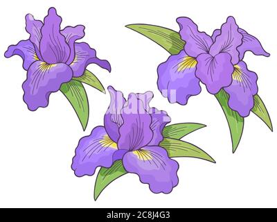 Iris fiore colore grafico disegno isolato disegno vettore insieme di illustrazione Illustrazione Vettoriale