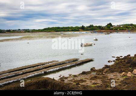 Vista sulle zone di allevamento di ostriche e molluschi a Île du Saint-Cado, Bretagna, Francia Foto Stock