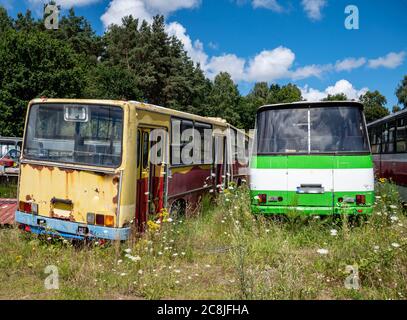 Vecchio cimitero degli autobus con autobus parcheggiati Foto Stock