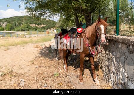 Egirdir/Isparta - 18 2020 luglio: Cavallo in attesa di turisti sulla spiaggia di Altinkum Foto Stock