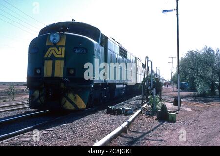 Il treno Trans-Australiano a Cook, Australia Meridionale. 5 novembre 1987. Foto Stock