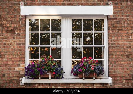 Le finestre di una casa vittoriana con finestre box e. fiori luminosi Foto Stock