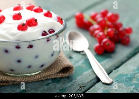 Dessert speciale con ribes rosso Foto Stock