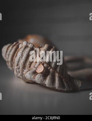 Primo piano di una collana con una pietra rosa un guscio decorativo Foto Stock