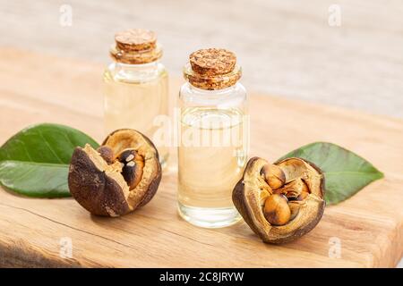 Bottiglia di olio essenziale Camellia e semi di camelia su tavola di legno. Bellezza, cura della pelle, benessere Foto Stock