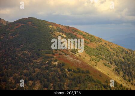 Vista da Malý Kriváň sulla collina di Meškalka sulle montagne di Malá Fatra, Slovacchia Foto Stock