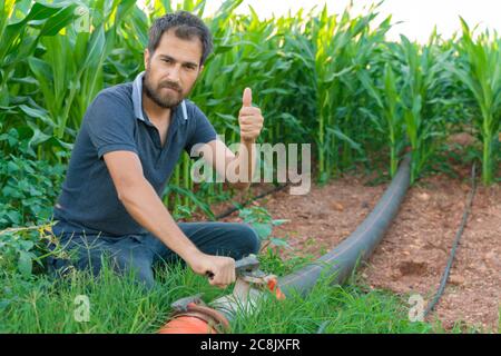 Giovane agricoltore in piedi su campo di mais mostrando ok segno mano. Sistema di irrigazione in background Foto Stock