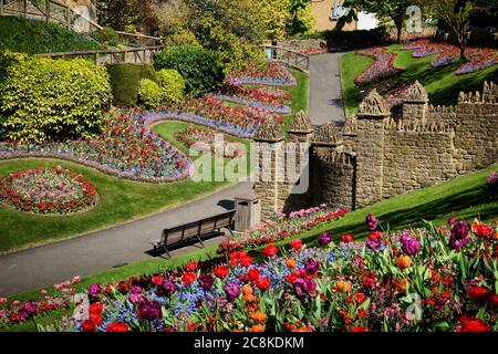 Colorati tulipani primaverili intorno al Castello di Guildford, Surrey, in una giornata di sole Foto Stock