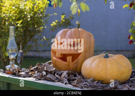 Foto closeup di zucca scolpita Jack-o'-lanterna accanto ad un altro nel parco Foto Stock