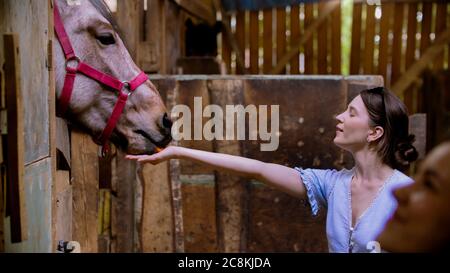 Due giovani donne che nutrano cavalli carote in paddock. Scatto medio Foto Stock