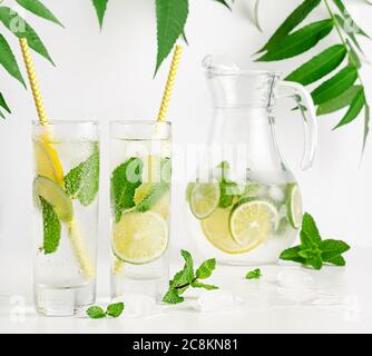 Limonata ghiacciata di agrumi. Bevanda rinfrescante con tonico e menta. Bere sano Foto Stock