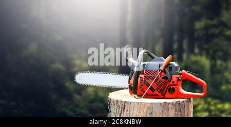 Motosega rossa nella foresta su un ceppo di alberi tagliati. Foto Stock